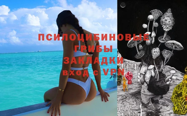 спиды Гусь-Хрустальный