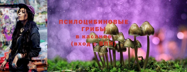 спиды Гусь-Хрустальный