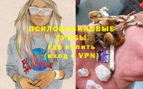 спиды Гусь-Хрустальный