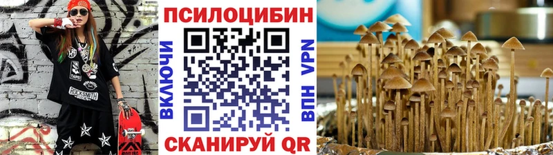 магазин    Владикавказ  Псилоцибиновые грибы Cubensis 